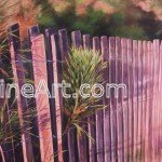 Beach Fence